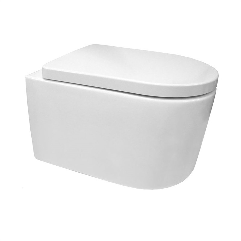 Mereo WC závěsné kapotované, RIMLESS, 495x360x370, keramické, vč. sedátka CSS115S VSD84S2